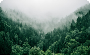 Three Lorem Ipsum is simply dummy text of the printing and typesetting industry